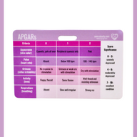 APGARs & Ballard Score Badge Reference Card