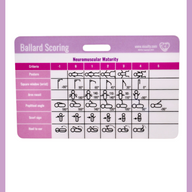 APGARs & Ballard Score Badge Reference Card