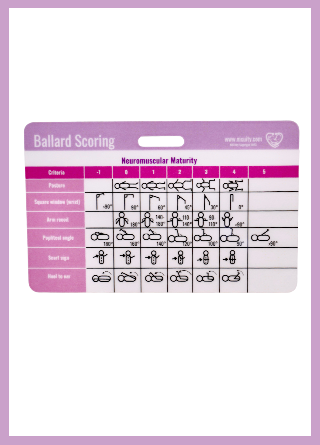 APGARs & Ballard Score Badge Reference Card