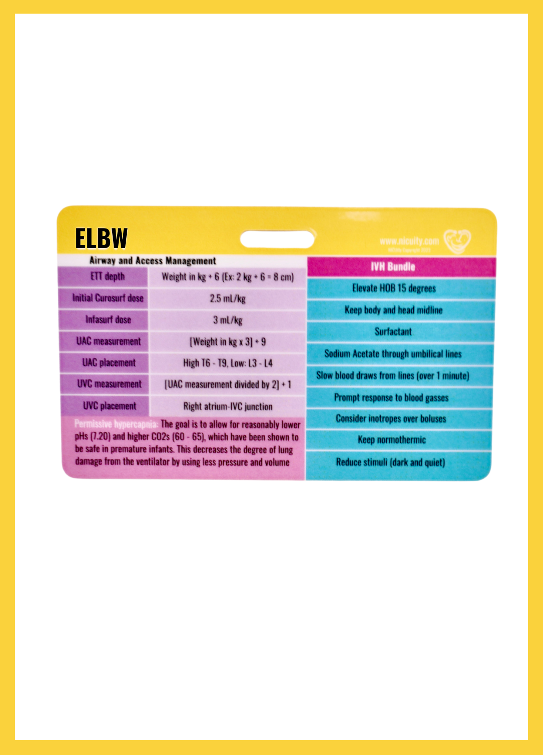 NICU Golden Hour Admission & ELBW Badge Card