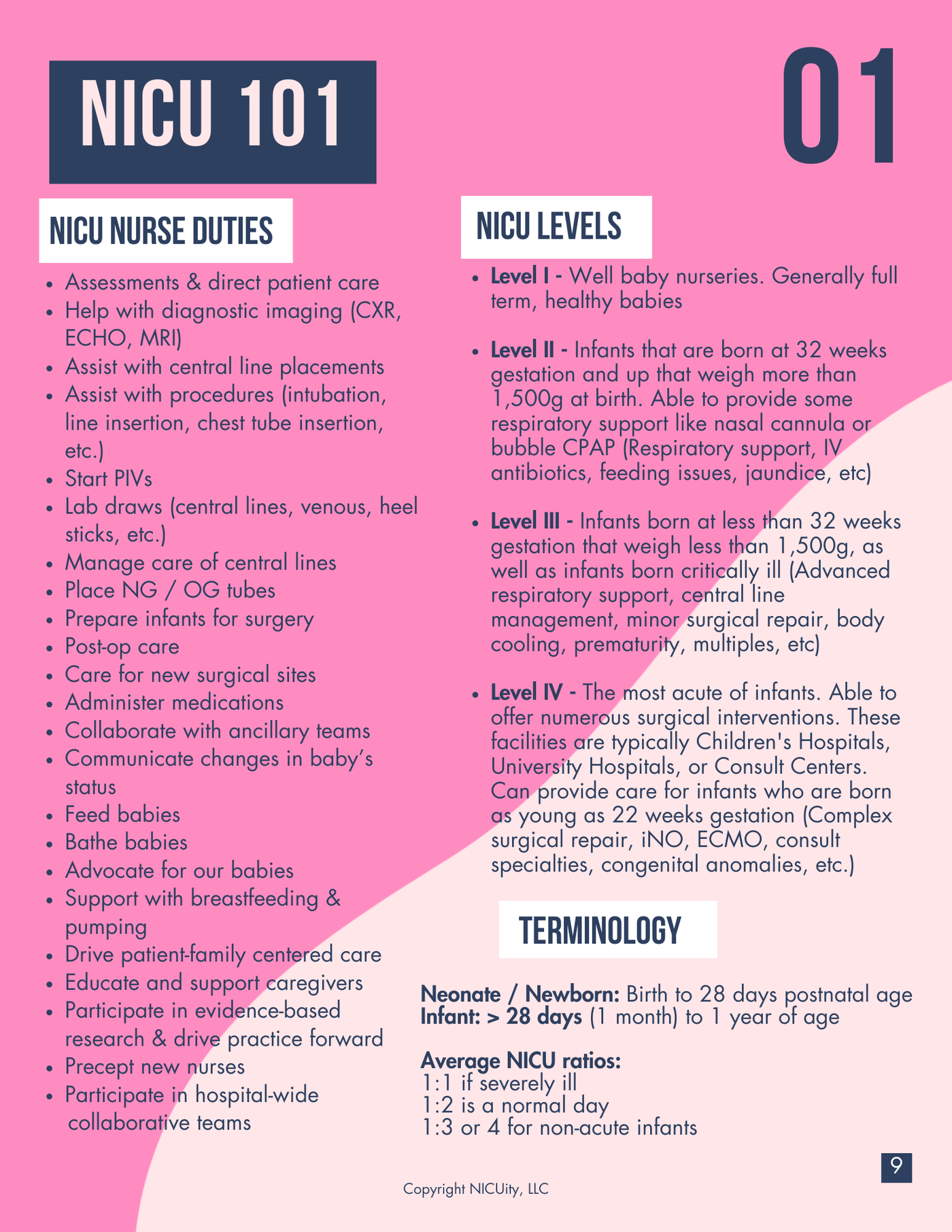 The NICU Essentials Masterclass Manual