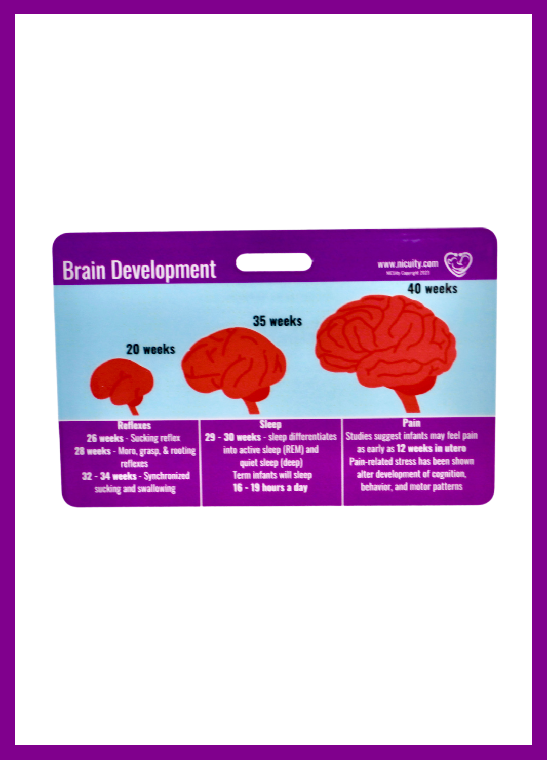 Milk Production & Brain Development Badge Reference Card