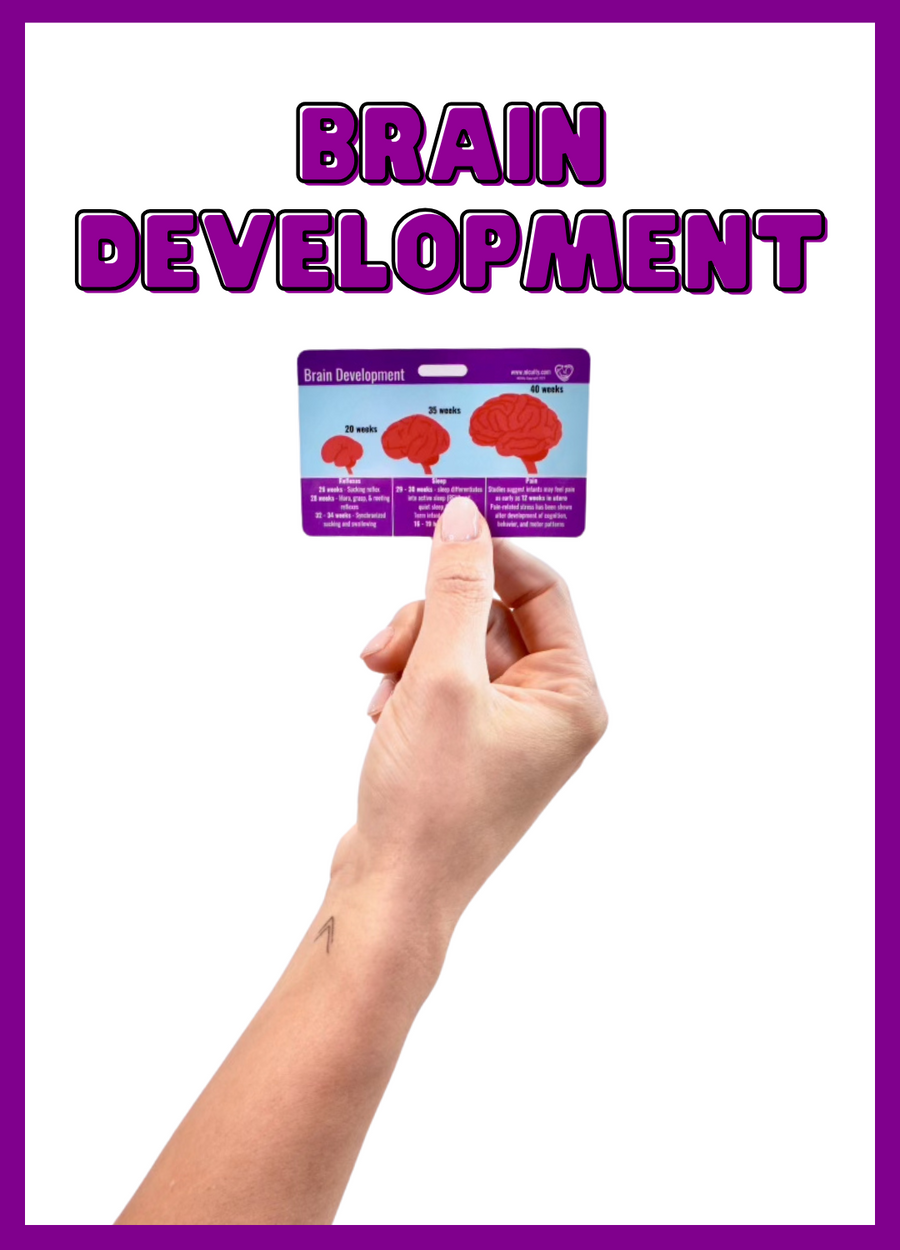 Milk Production & Brain Development Badge Reference Card