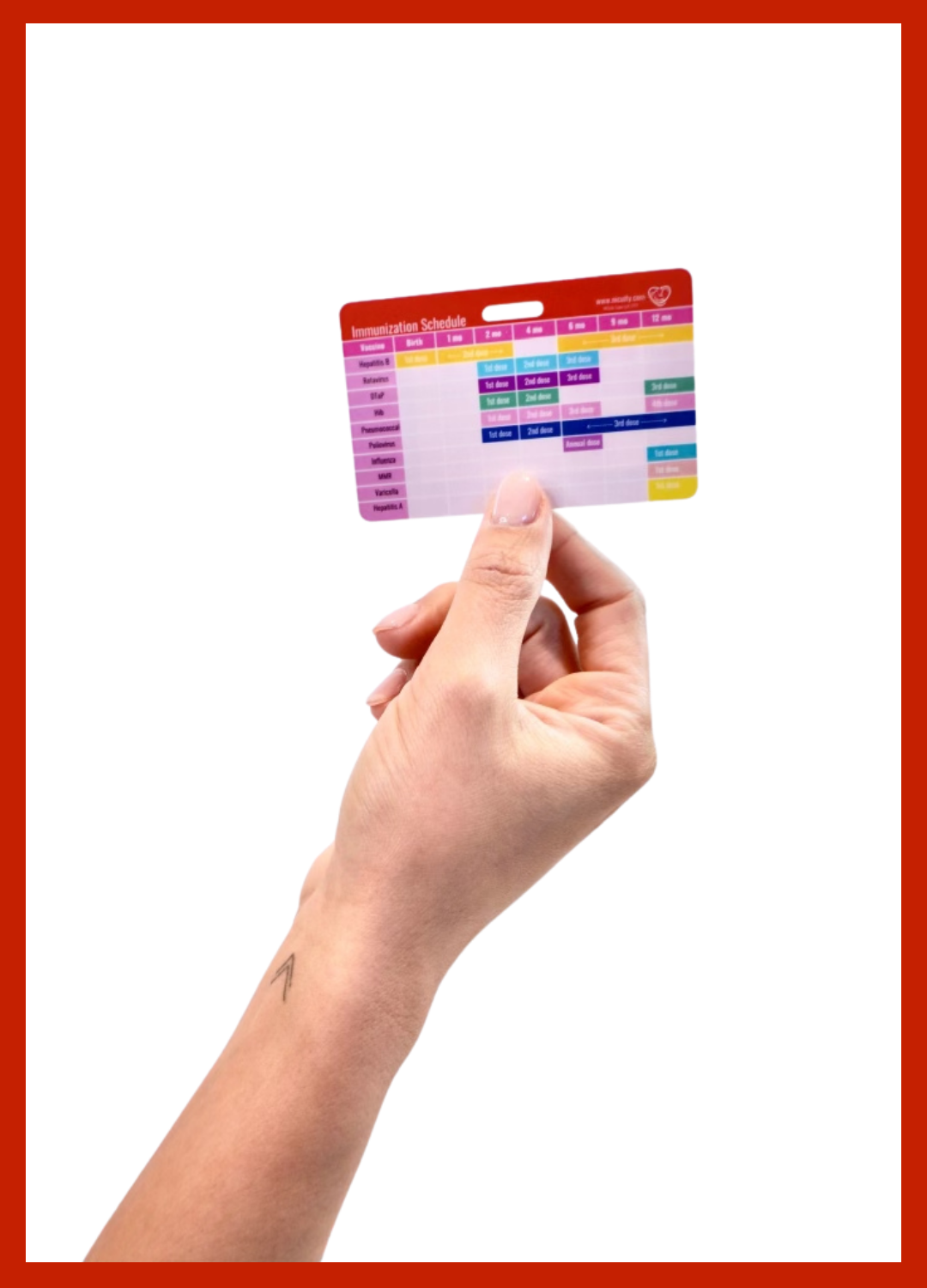 Blood Type & Immunization Schedule Badge Reference Card