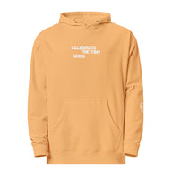 Celebrate The Tiny Wins Hoodie